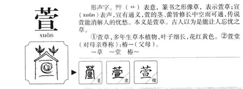 萱的名字|萱字取名的含义是什么